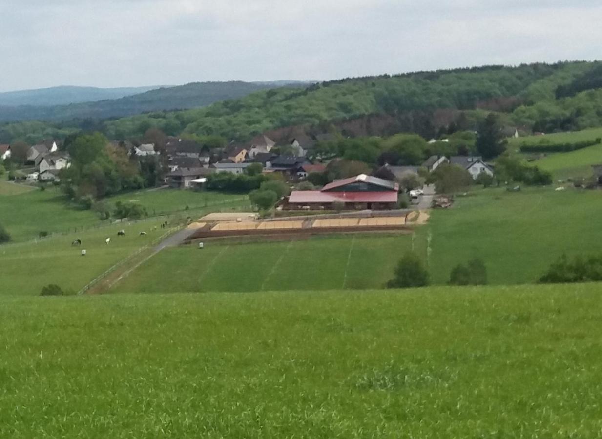 Schoenes Appartement " Die Ponybude" Auf Unserem Reiterhof Birkenbeul Dış mekan fotoğraf